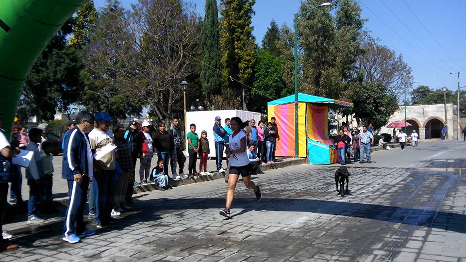 17426214_397029740661641_7287377441415636660_n