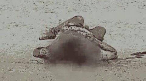 18009047_1347242825322870_235470093_n