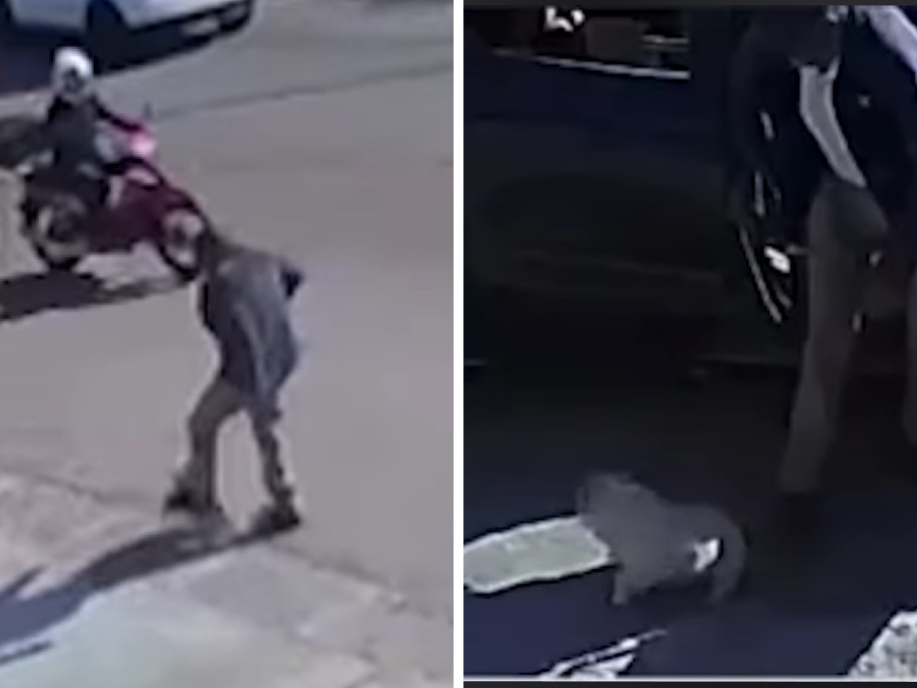 Abandonan a perrito y lo golpean cuando intenta regresar con sus dueños ...